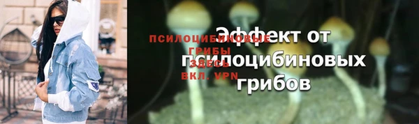 соль ск Балабаново