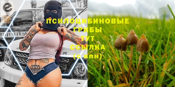 соль ск Балабаново